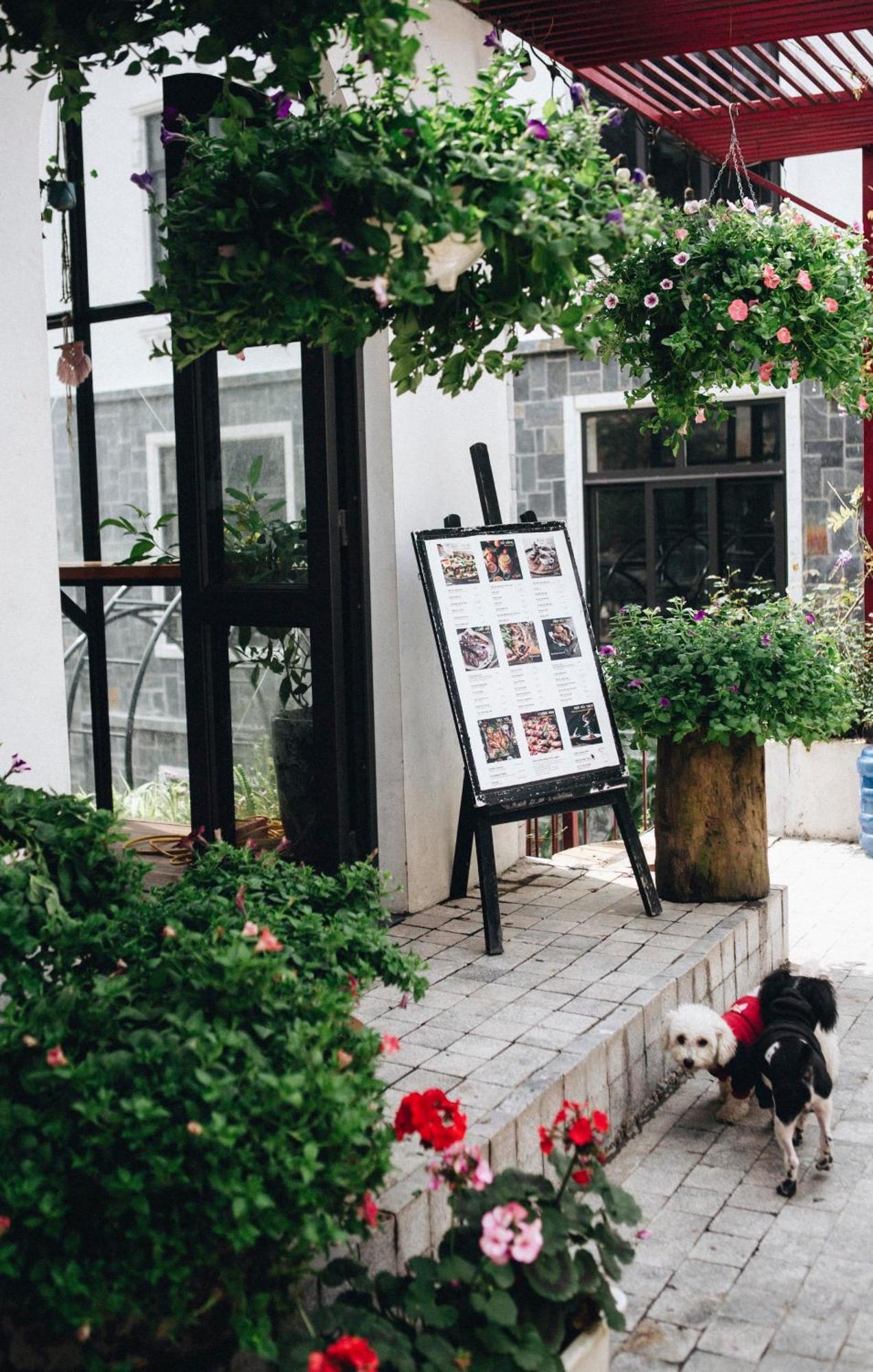 Le Vent Tam Dao Homestay Eksteriør bilde